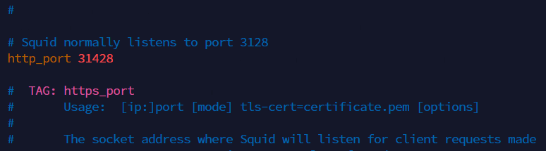 Squid Proxy